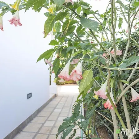 بيت للعطل Olivares *